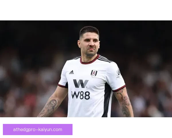 米特罗维奇技术特点分析：控球能力与进攻威胁并存，表现稳健引人关注