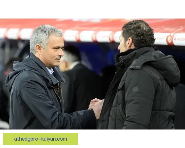 塔雷米与劳塔罗搭档锋线，近期进攻组合表现稳健